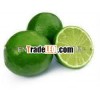 PREMIUM FRESH LIME FROM VIETNAM