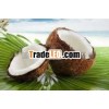 Coconut expellers in India