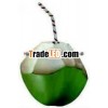 Bio Tender coconuts