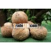 Mature coconut with husk
