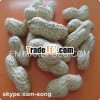 Chinese Peanut In Shell new crop