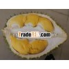 FRESH DURIAN FRUIT - HIGH QUALTIY - BEST PRICE