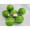 Nice Fresh Seedless Lime