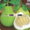 FRESH POMELO WITH GOOD TASTY