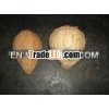 Quality Matured Coconut from India