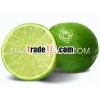 FRESH LEMON & LIME - NEW CROP 2013 WITH PRICE $500 - $600