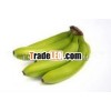 CAVENDISH BANANA FRESH GREEN BANANA SPECIAL PRICE