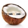 Matured coconut