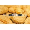 Best Quality Raw Peanut in shell