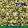 Pumpkin Seeds Kernels