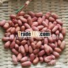 roasted red skin peanut kernel