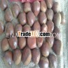 wholesale bulk fresh chestnut/new crop chestnut
