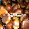 wholesale bulk fresh organic chestnut price