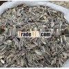 CHINESE sunflower seeds