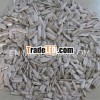 2013 white sunflower seeds hot sale