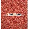 EXPORT QUALITY BOLD PEANUT FOR UKRAINE