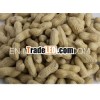 BAISHA Raw Peanut in shell