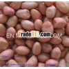 red skin Peanut Kernels
