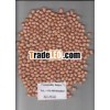 Groundnut Kernel / Peanuts