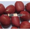 NEW CROP BOLD PEANUT KERNEL 60/70