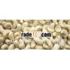 Vietnam Cashew Nuts WW320
