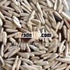 2013 crop white sunflower seeds best quality hot sale