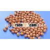 EXPORT QUALITY JAVA PEANUT FOR UKRAINE
