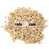 chinese sunflower kernel