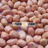 Wholesale Peanut Supplier