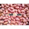Raw Peanuts 38-42 counts
