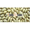 BOLD BLANCHED PEANUT 60/70