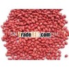 supply red skin peanut