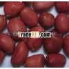 INDIAN RED PEANUT