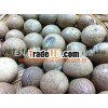 DRIED WHOLE BETEL NUT HOT SALE 2013