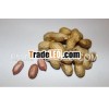 Best Quality 2012 Fresh Farm Peanuts in shell