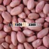 GROUNDNUT KERNEL OF PINK SKIN