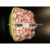 Pink skin peanut kernel /Groundnut kernel