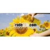 Sunflower crude oil (GMO FREE)