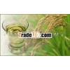 Cold Pressed Rice Bran Carrier Oil