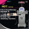 3 in 1 cryotherapy spa equipment & 2013 beauty equipment &velashape beauty equipment