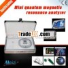 2013 Hi-Tech resonance magnetic quantum NLS machine
