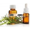 Rosemary Essential Oil
