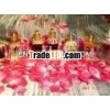 Sandalwood Oil Based Rose Attar (Rosa Damascena)