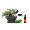 Natural Rosemary Essential Oil