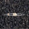 Black Pepper oil/Pure Black Pepper oil/Natural Black Pepper oil/Organic Black Pepper oil