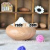 2013 HOT Ultrasonic Aromatherapy Diffuser GX-02K coconut oil