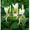 Honeysuckle Absolute oil/Lavender absolute oil/Rose absolute oil/Gardenia absolute oil/Vetiver absol