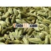 Fennel Seed Oil