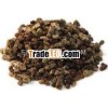 Cardamom Essential Oil
