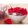 ROSE ABSOLUTE OIL